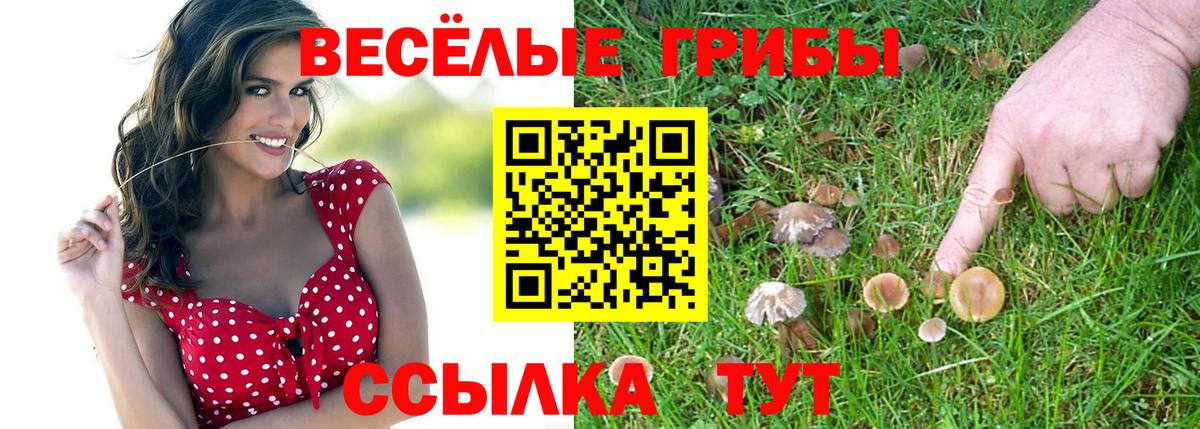 Псилоцибиновые грибы Psilocybine cubensis Екатеринбург