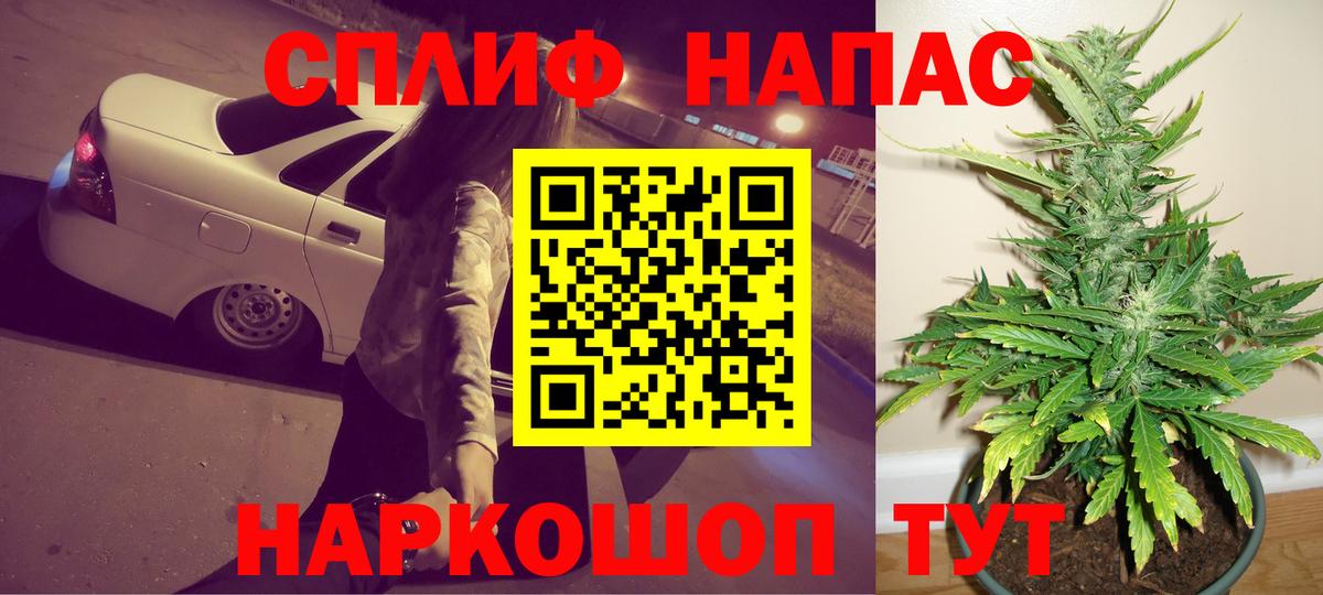 Екатеринбург  Бошки Шишки конопля  Каннабис ГИДРОПОН  Вход с VPN  Канабис семена 